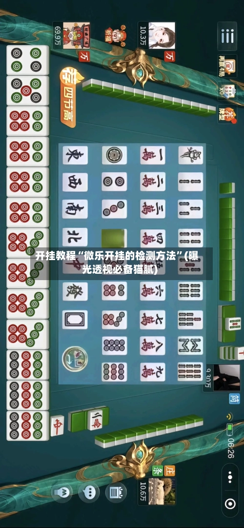 开挂教程“微乐开挂的检测方法”(曝光透视必备猫腻)-第1张图片