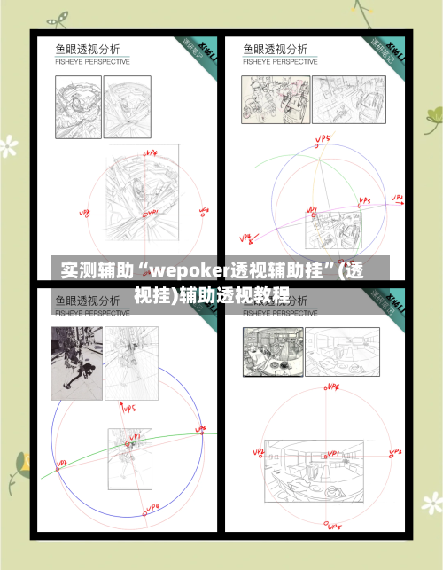 实测辅助“wepoker透视辅助挂	”(透视挂)辅助透视教程-第2张图片