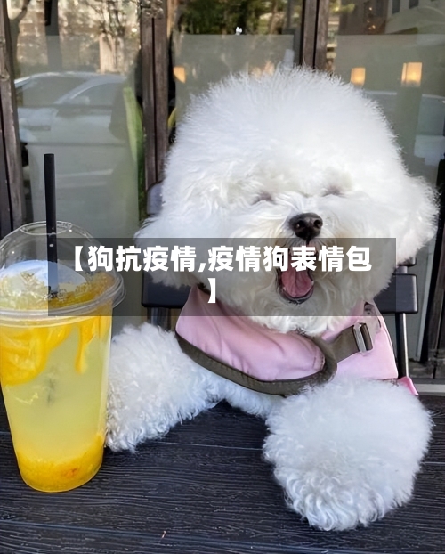 【狗抗疫情,疫情狗表情包】-第3张图片