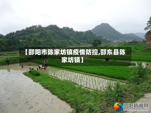 【邵阳市陈家坊镇疫情防控,邵东县陈家坊镇】-第2张图片