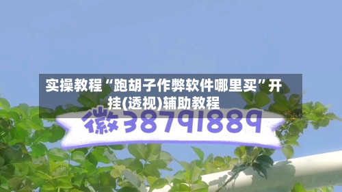实操教程“跑胡子作弊软件哪里买”开挂(透视)辅助教程-第1张图片