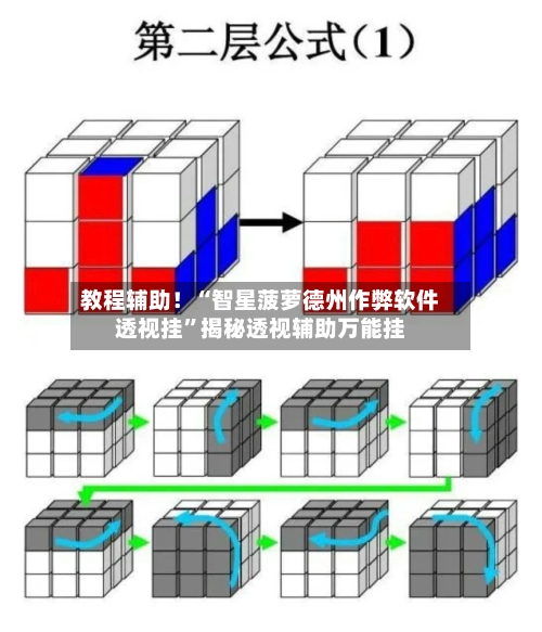 教程辅助！“智星菠萝德州作弊软件透视挂”揭秘透视辅助万能挂-第2张图片