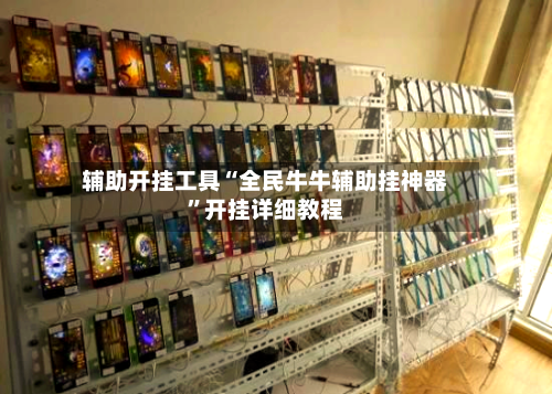 辅助开挂工具“全民牛牛辅助挂神器”开挂详细教程-第3张图片