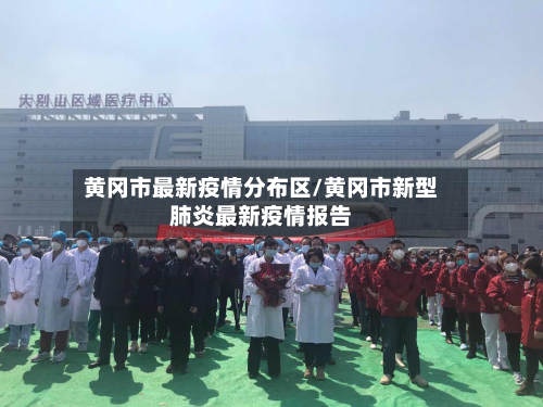 黄冈市最新疫情分布区/黄冈市新型肺炎最新疫情报告-第2张图片