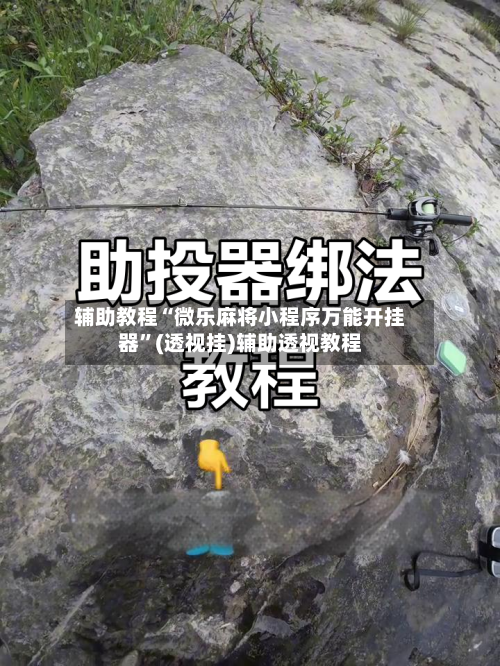 辅助教程“微乐麻将小程序万能开挂器”(透视挂)辅助透视教程-第1张图片