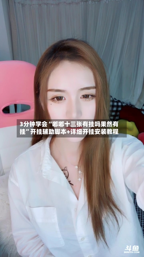 3分钟学会“嘟嘟十三张有挂吗果然有挂”开挂辅助脚本+详细开挂安装教程-第1张图片