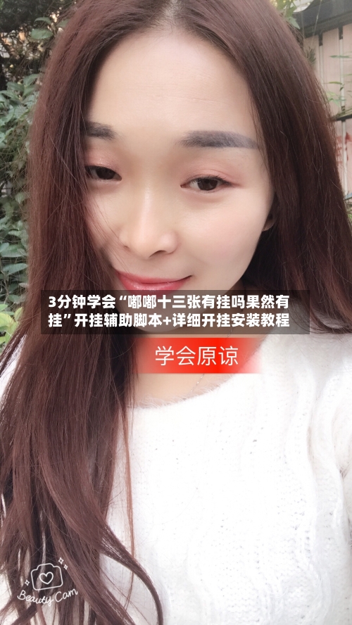 3分钟学会“嘟嘟十三张有挂吗果然有挂	”开挂辅助脚本+详细开挂安装教程-第2张图片