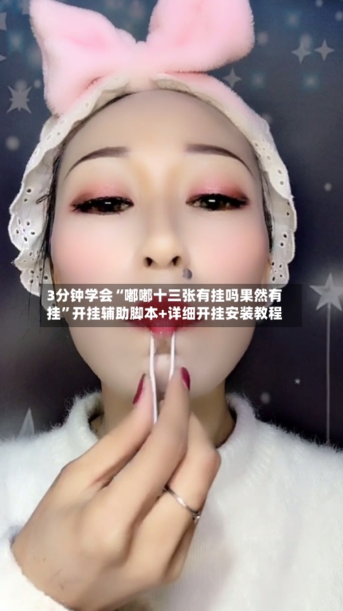 3分钟学会“嘟嘟十三张有挂吗果然有挂”开挂辅助脚本+详细开挂安装教程-第3张图片