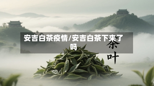 安吉白茶疫情/安吉白茶下来了吗-第1张图片