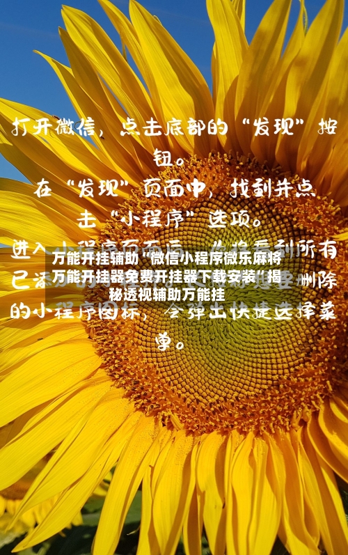 万能开挂辅助“微信小程序微乐麻将万能开挂器免费开挂器下载安装”揭秘透视辅助万能挂-第2张图片