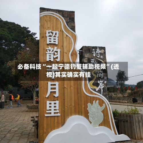 必备科技“一起宁德钓蟹辅助视频”(透视)其实确实有挂-第1张图片