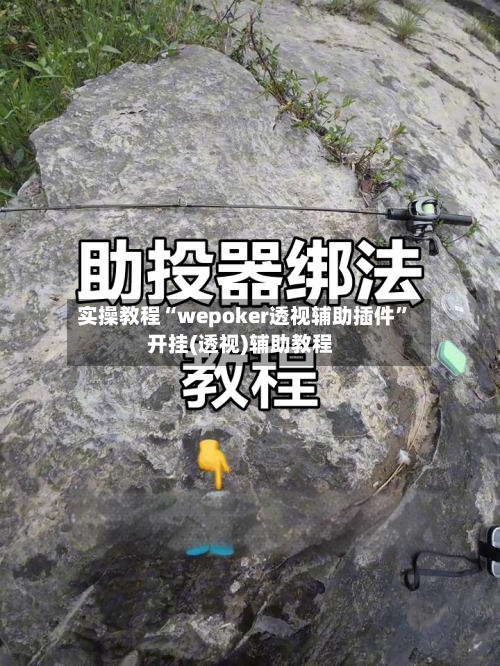 实操教程“wepoker透视辅助插件”开挂(透视)辅助教程-第1张图片