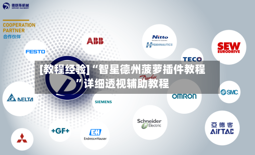 [教程经验]“智星德州菠萝插件教程”详细透视辅助教程-第2张图片