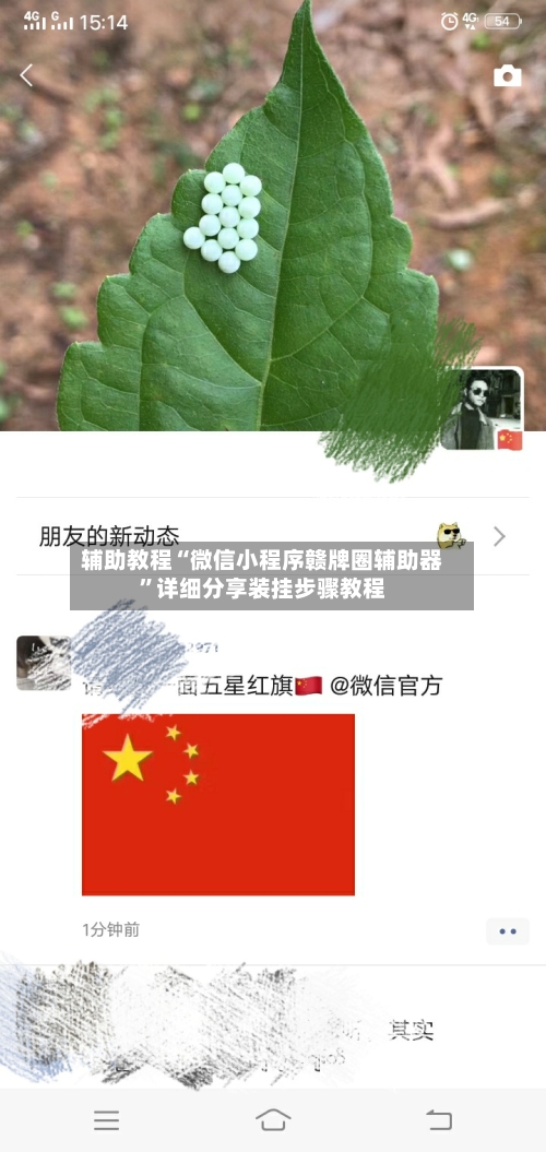 辅助教程“微信小程序赣牌圈辅助器”详细分享装挂步骤教程-第3张图片