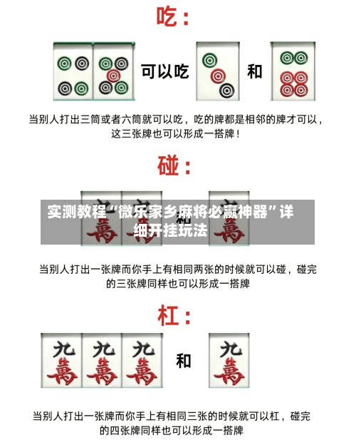 实测教程“微乐家乡麻将必赢神器	”详细开挂玩法-第2张图片