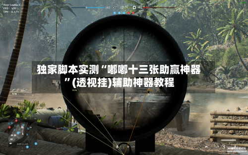 独家脚本实测“嘟嘟十三张助赢神器”(透视挂)辅助神器教程-第2张图片