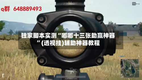 独家脚本实测“嘟嘟十三张助赢神器”(透视挂)辅助神器教程-第3张图片