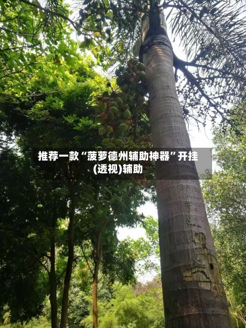 推荐一款“菠萝德州辅助神器”开挂(透视)辅助-第1张图片