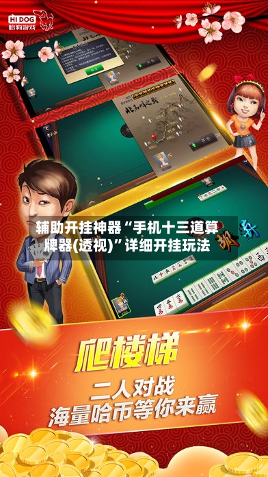 辅助开挂神器“手机十三道算牌器(透视)	”详细开挂玩法-第2张图片