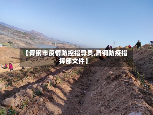 【舞钢市疫情防控指导员,舞钢防疫指挥部文件】-第2张图片