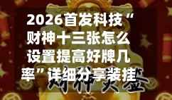 2026首发科技“财神十三张怎么设置提高好牌几率”详细分享装挂步骤教程-第2张图片