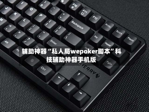 辅助神器“私人局wepoker脚本”科技辅助神器手机版-第2张图片