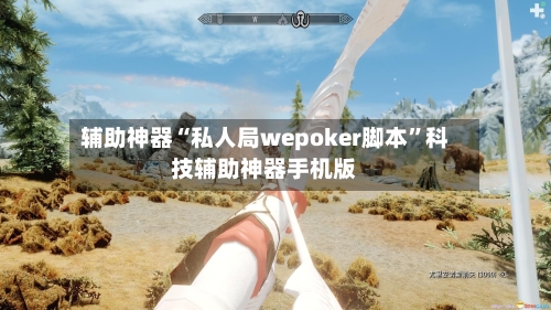 辅助神器“私人局wepoker脚本	”科技辅助神器手机版-第1张图片