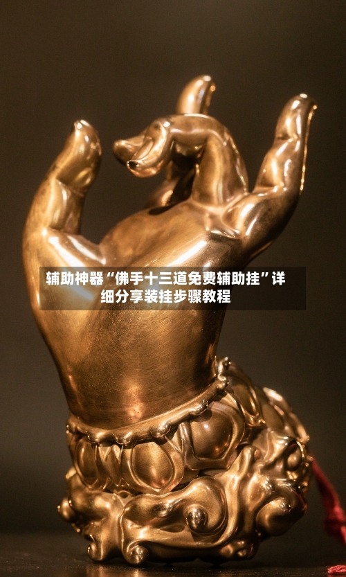 辅助神器“佛手十三道免费辅助挂”详细分享装挂步骤教程-第1张图片